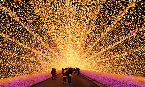 名花之里