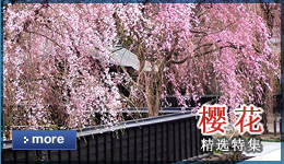 精选樱花特集