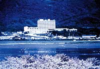 全景 全景