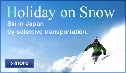 Ski 2012