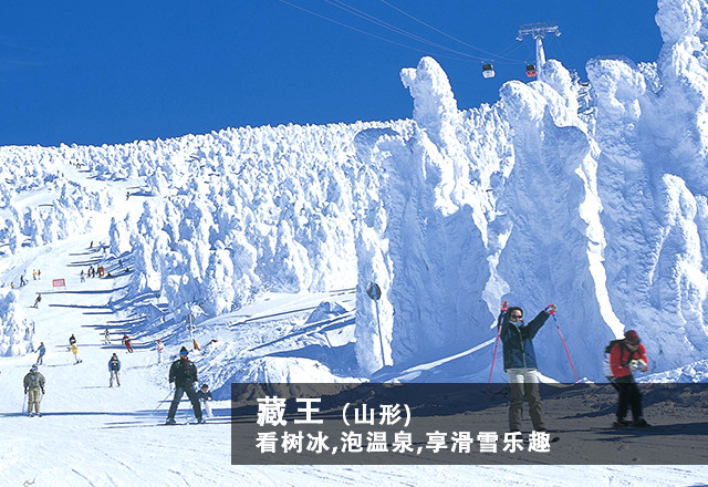 藏王(山形) 看树冰,泡温泉,享滑雪乐趣