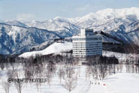 其他 其他